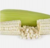 Top Quality Non GMO Yellow Maize for Sale in cheap price 