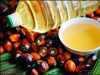 Good Quality Palm Oil And Cooking Oil