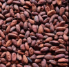 Cheap 100% Organic Cocoa Beans