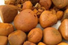 Cattle Gallstones/Cow Gallstones For Sale