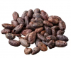 Top Quality dried Raw Cocoa Beans coco bean With Best Quality