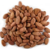 Top Quality dried Raw Cocoa Beans coco bean With Best Quality