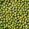 Supply Best Selling Natural MUNG Beans In Wholesale