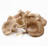 Wholesale Buyers Frozen Oyster Mushrooms Of Price