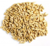 Good Quality Barley for animal feed