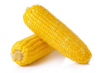 Wholesale Yellow Corn / Yellow Maize for Animal Feed