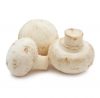 100% High Quality And Fresh Mushrooms In Cheap Price