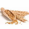  100% Organic Wheat / Wheat Grain at Low Market Price