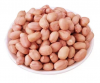 High Quality Peanuts Buyers For Sale