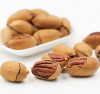 High Grade pecan nut low prices pecan nuts for sale