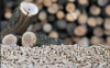 High-Quality Wood Pellets for Cozy Comfort