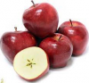 Top Grade Juicy Fresh Red Apples Fruit For Exporters