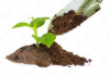 Plant Growth Fertilizer For Sales 