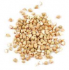 Wholesale Buckwheat/Buckwheat Seeds For Sale 