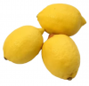 Top-Quality Fresh Juicy Lemons Fruit / Citrus Fruit