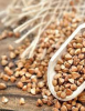 Wholesale Buckwheat/Buckwheat Seeds For Sale 