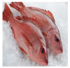 Fresh Frozen Orange Roughy Fish For Sale