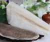 Frozen ATF Fish Arrowtooth Flounder Fillet