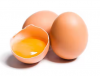 Fresh Chicken Eggs / Round Table Eggs for Sale