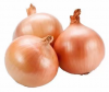 New season red onion 5-7cm / fresh onion import export