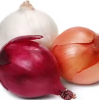 Fresh Red And White Onions For Sale