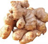 Ginger / Elephant Ginger Fresh And Spices