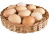 Chicken Table Eggs For Sale / Brown And White Eggs