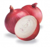 Best quality new crop red onion