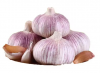 Natural Fresh White Garlic