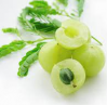 100% Fresh Organic Amla Fruits / Nutritious Fruit