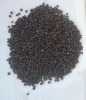 Direct From Factory Top Quality Black Pepper