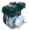 Hot Sale Machine Petrol Gasoline Engine with Performance