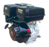 Hot Sale Machine Petrol Gasoline Engine with Performance