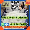 Lidocaineï¼�CAS 137-58-6