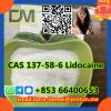 Lidocaineï¼�CAS 137-58-6