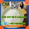 Lidocaineï¼�CAS 137-58-6