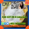 Lidocaineï¼�CAS 137-58-6