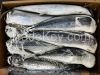Frozen Spanish Mackerel