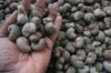 Cashew nuts
