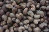 Cashew nuts