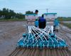 YXSF-09 12 Rows Rice Direct Seeding and Fertilizing Machine 12 Rows Rice Direct Seeding and Fertilizing Machine