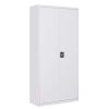 Office 2 Door Steel Cu...