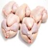 FROZEN CHICKEN , FROZE...