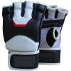 MMA gloves