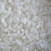 Japonica Rice | Rice S...