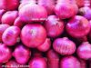 RED ONIONS