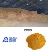 Distillers Dried Grain...
