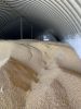 Soybeans from Russia, ...