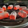 100% coconut shell shi...
