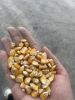 Cut Maize/ Broken Corn Feed â KTIMEX Brand - Vietnam Original